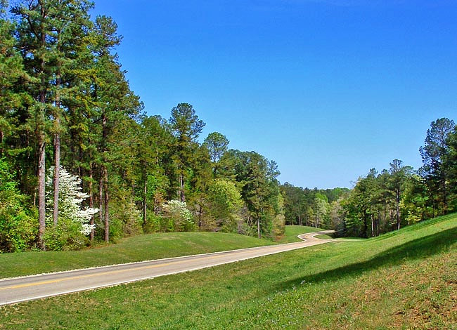 Spring View - Natchez Trace Parkway, Mississippi
