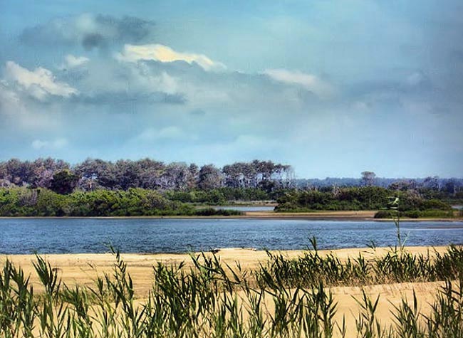 Assateague Island - Chincoteague, Virginia