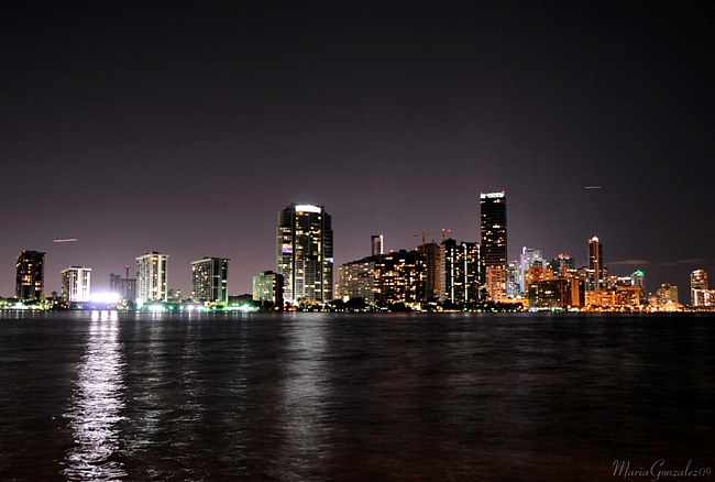 Night Skyline - Miami, Florida