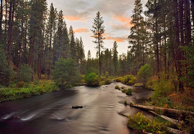 Wild and Scenic Metolius River - Jefferson County, Oregon