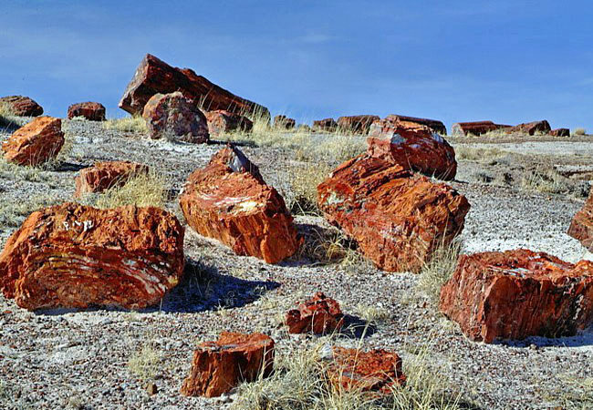 Petrified Forest National Park, Arizona