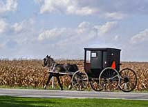 Amish Buggie - Elkhart County, Indiana
