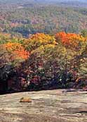 Signs of autumn - Bald Rock Heritage Preserve, South Carolina