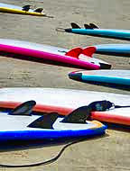 Beach Surfboard Roundup