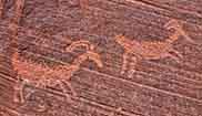 Buckskin Gulch Petroglyphs - Paria Canyon/Vermilion Cliffs Wilderness