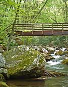 Footbridge - Cascades Recreation Area, Virginia