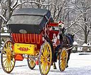 Central Park Carriage