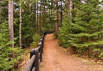 Copper Falls Trail