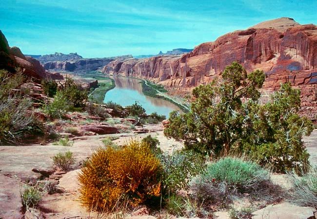 Colorado River from the Rim Trail - Moab, Utah