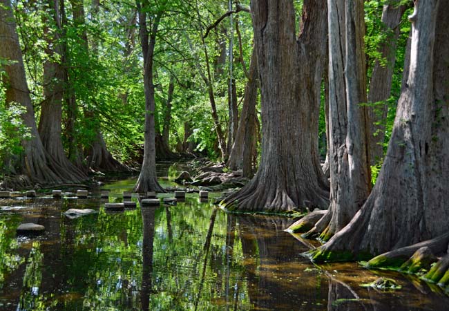 Cibolo Creek - Cibolo Nature Center, Boerne, Texas