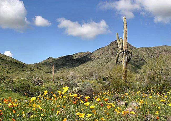 South Mountain Park - Phoenix, Arizona