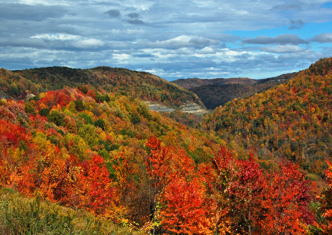 Autumn Scene - Corridor L, West Virginia