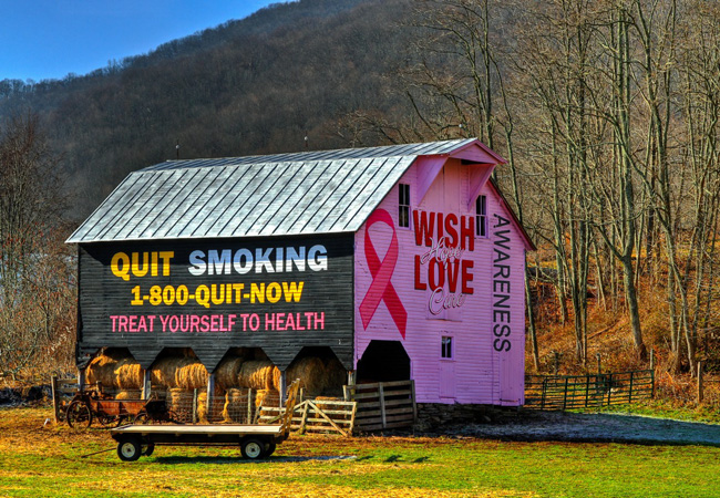 Randolph CountyBarn Gone Pink - West Virginia