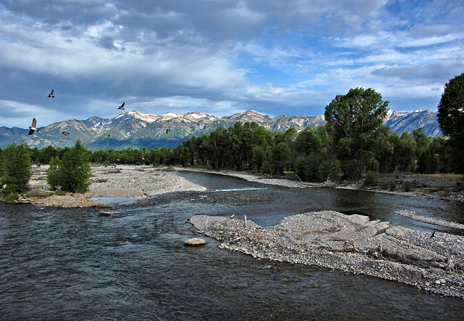 Gros Ventre River - Kelly, Wyoming
