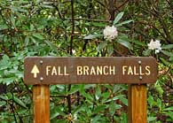 Fall Branch Falls Trail Sign- Georgia