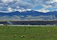 Prairie Farm - Flathead County, Montana