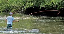 Fly Fishing, Toccoa River - Fannin County, GA