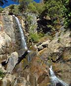 Grizzly Falls - Kings Canyon National Park, CA
