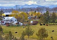 Hood River Valley Farm - Clackamas County, Oregon