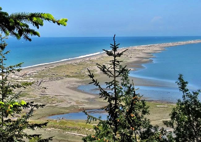 Dungeness Spit - Clallam County, Washington