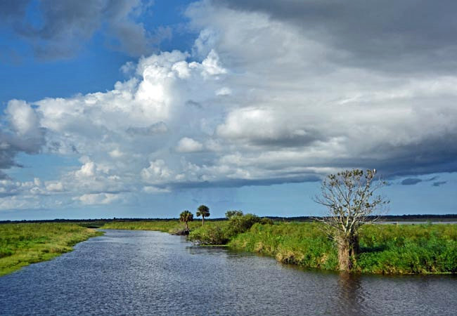 Canaveral Marshes - Brevard County, Florida