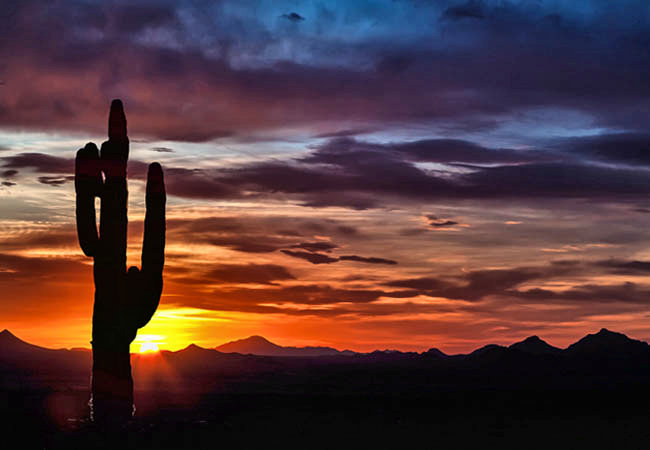 Sunset on the Saguaro National Park - Tucson, Arizona