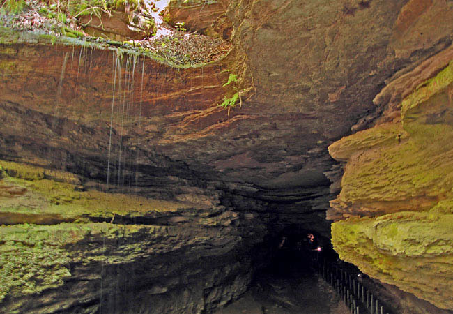 mammoth caves kentucky