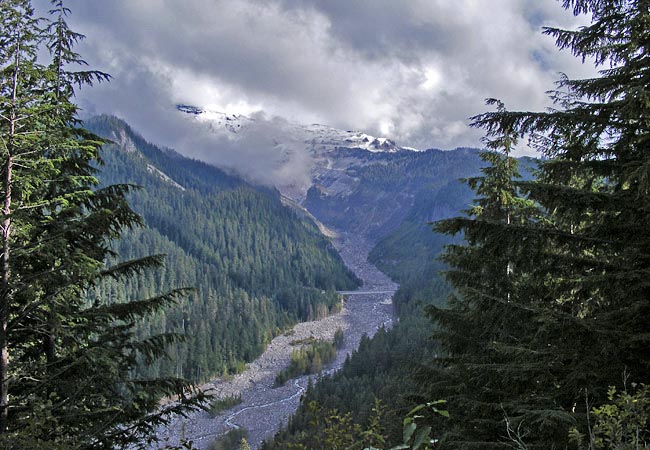 Paradise River - Mount Rainier National Park, Washington