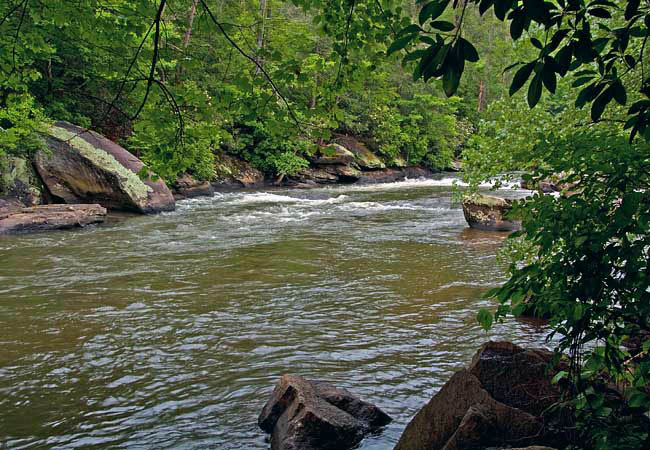 Toccoa River Rapids -  Fannin County, Georgia