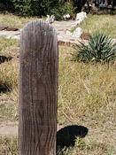 Jack Reynolds Grave - Boot Hill Museum