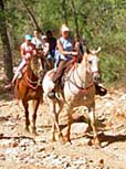 Journey Out on Horseback - Supai Village, Arizona