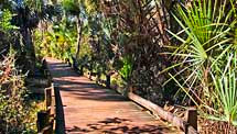 Juniper Springs Nature Trail Boardwalk - Juniper Springs State Park, Florida