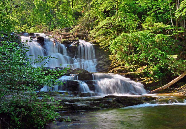 Conasauga Falls - Tellico Plains, Tennessee