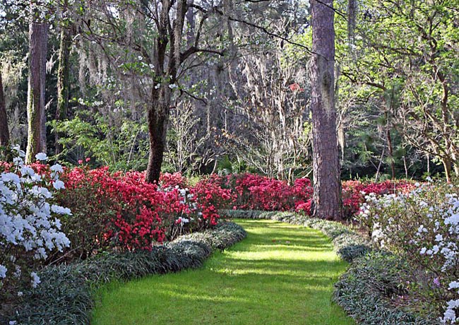 Alfred B. Maclay Gardens State Park - Tallahassee, Florida