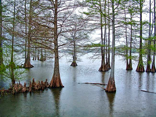 Lake Providence - Lake Providence, Louisiana