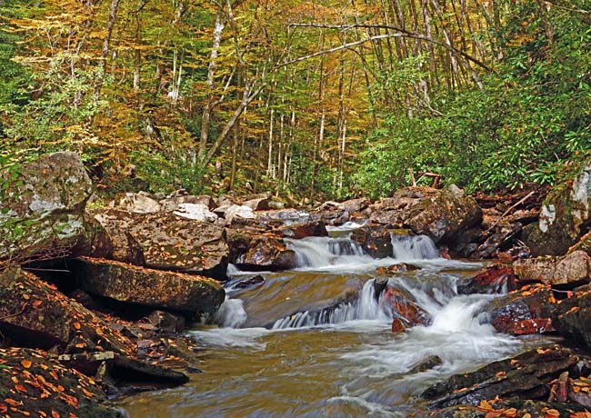 Little Stony Creek - Cascades Recreation Area, Pembroke, Virginia