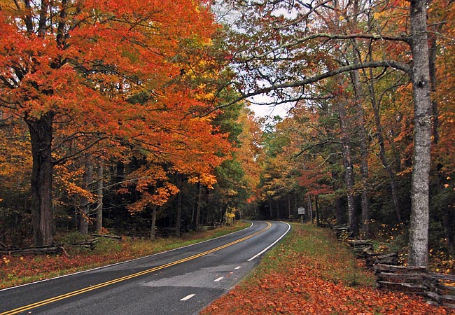 Autumn scene - Blue Ridge Parkway, North Carolina