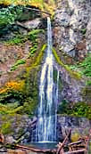 Marymere Falls - Olympic Peninsula, Washington