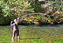 Fly Fishing - Metolius River, Camp Sherman, Oregon