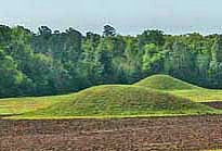 Pharr Mounds - Natchez Trace Parkway, Tennessee