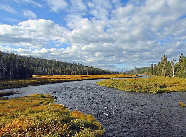 Snake River - Moran, Wyoming