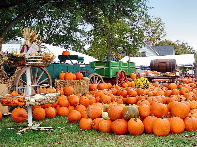Fall Festival - Parke County, Indiana