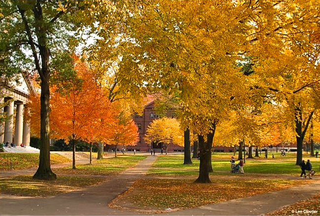 Harvard Yard - Harvard University, Cambridge, Massachusetts