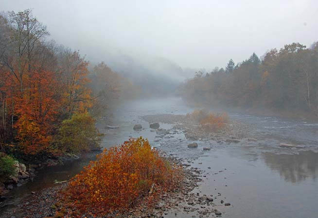 Williams River in autumn - Highland Scenic Highway, West Virginia