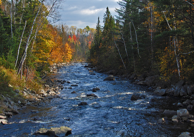 Nulhegan River - Brunswick, Vermont