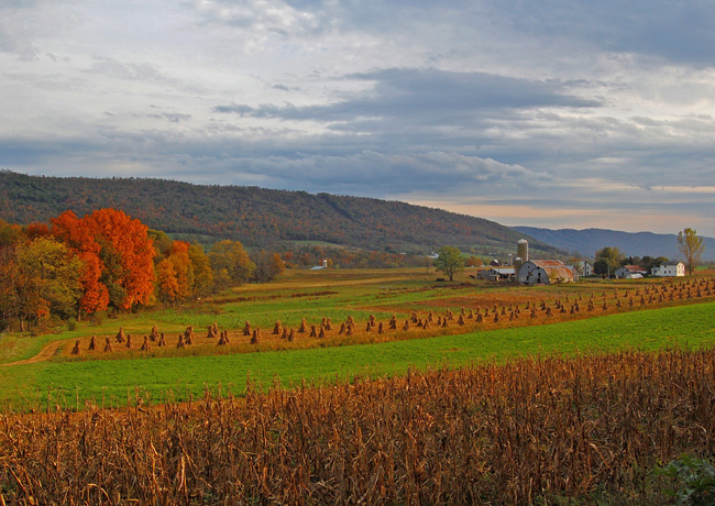 Mifflin County Farm - Pennsylvania