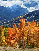 Owl Creek Pass - Uncompahgre Wilderness, Colorado