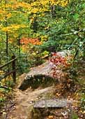 Rock Bridge Trail - Clifty Wilderness, Kentucky