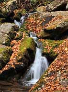 Rock Springs Falls - Snyder Middleswarth Natural Area - Pennsylvania