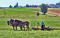 Rural Farm - Lancaster County, Pennsylvania